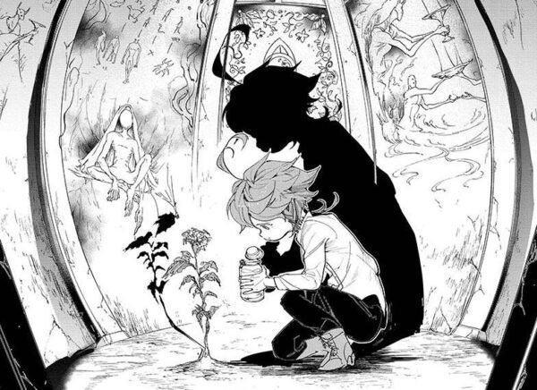 Promised neverland manga 