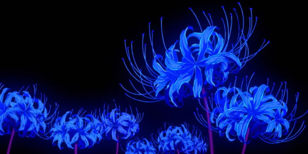 Blue spider lily in demon slayer