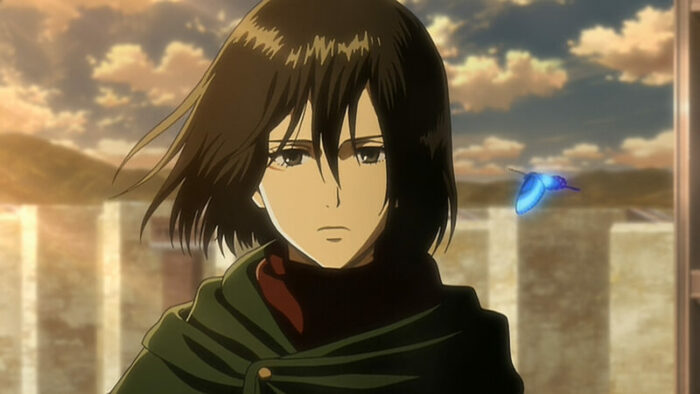 Attack on Titan Characters Who Got What They Deserved- mikasa